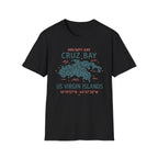 Cruz Bay US Virgin Islands Waypoint T-Shirt
